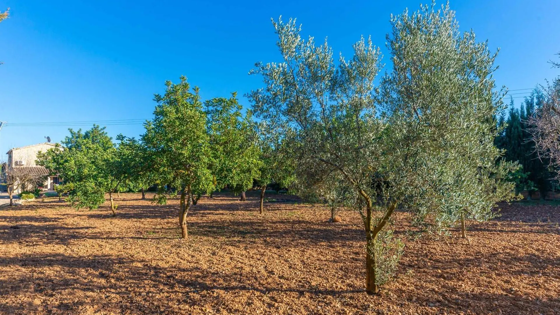 Villa Can Antich Lloseta Spagna